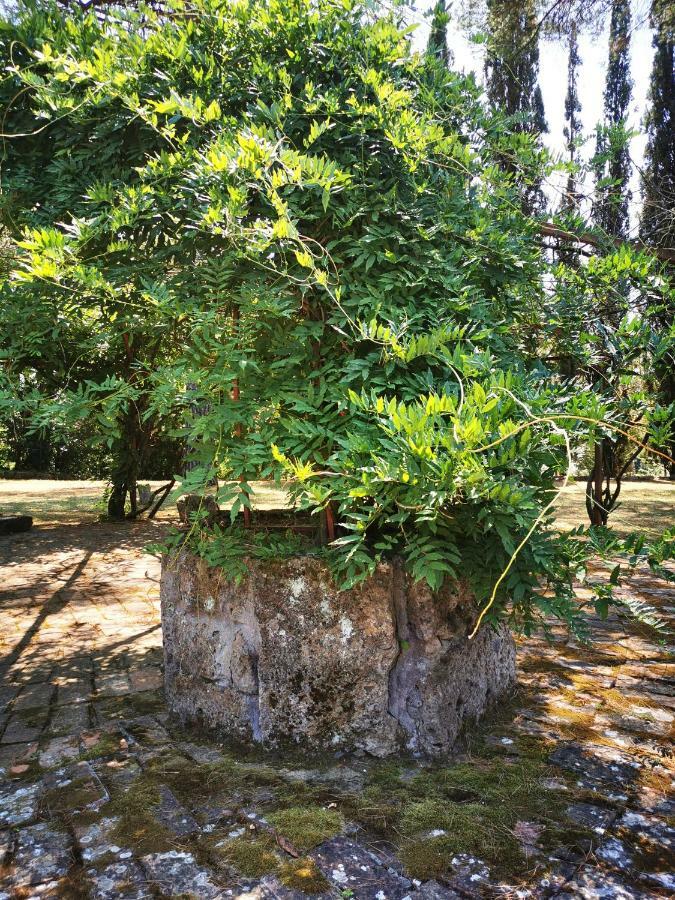 Сasa de vacaciones Isola Farnese Parco Di Veio